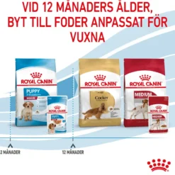 Royal Canin Medium Puppy 40x140 g