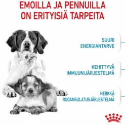 Royal Canin Medium Starter