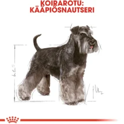 Royal Canin Miniature Schnauzer Adult