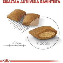 Royal Canin Mini Exigent
