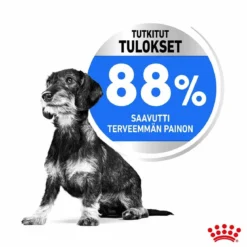 Royal Canin Mini Light Weight Care