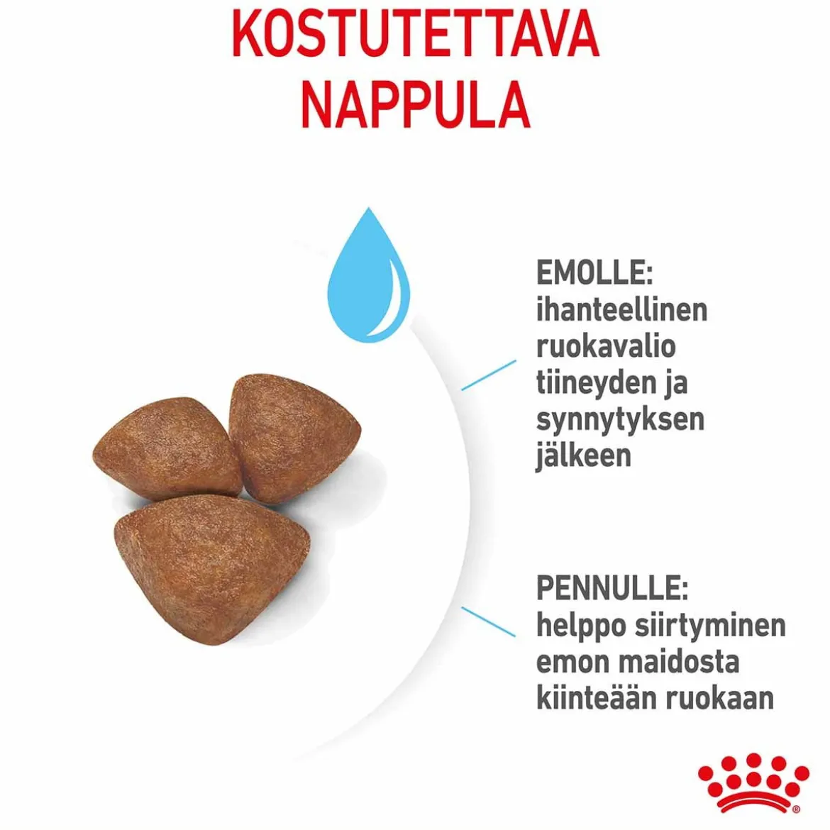 Royal Canin Mini Starter