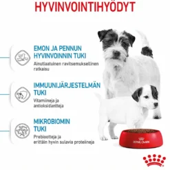Royal Canin Mini Starter