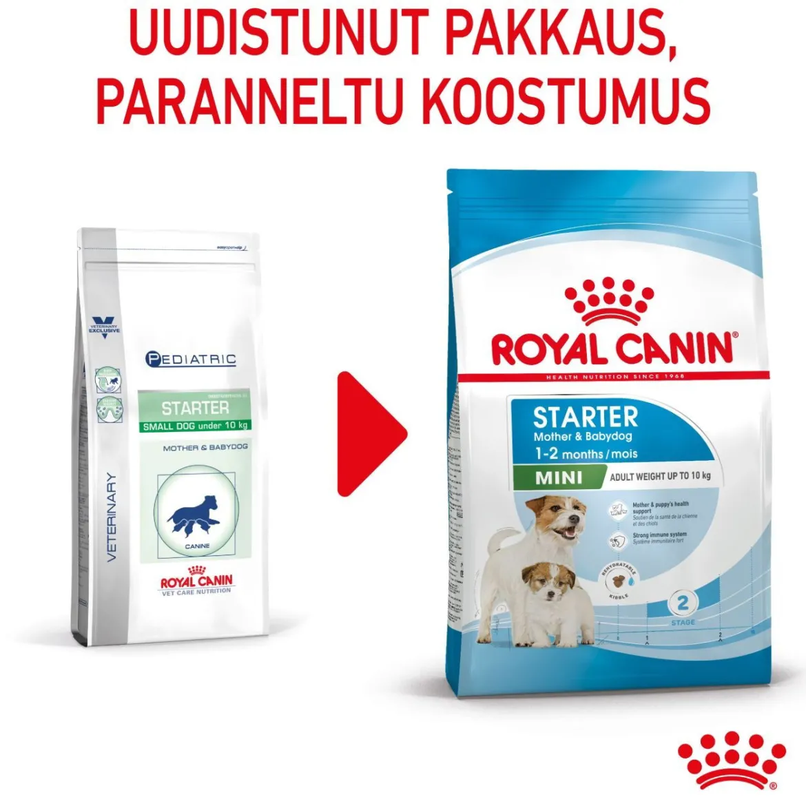 Royal Canin Mini Starter