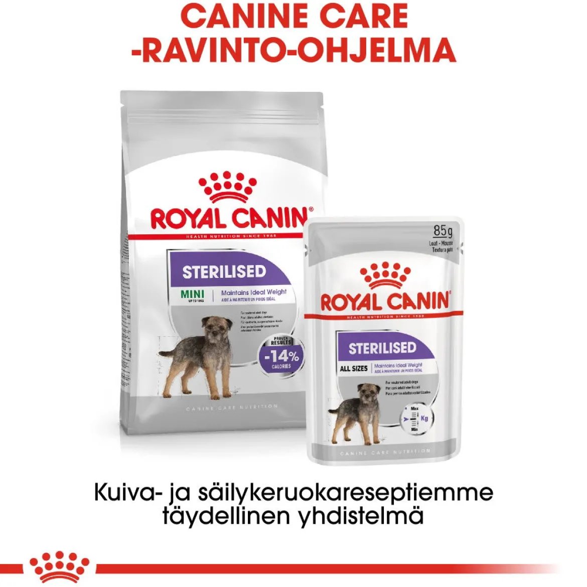 Royal Canin Mini Sterilised