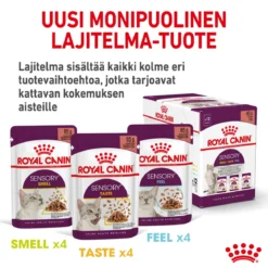 Royal Canin Sensory Smell Gravy 85g, 48-pack