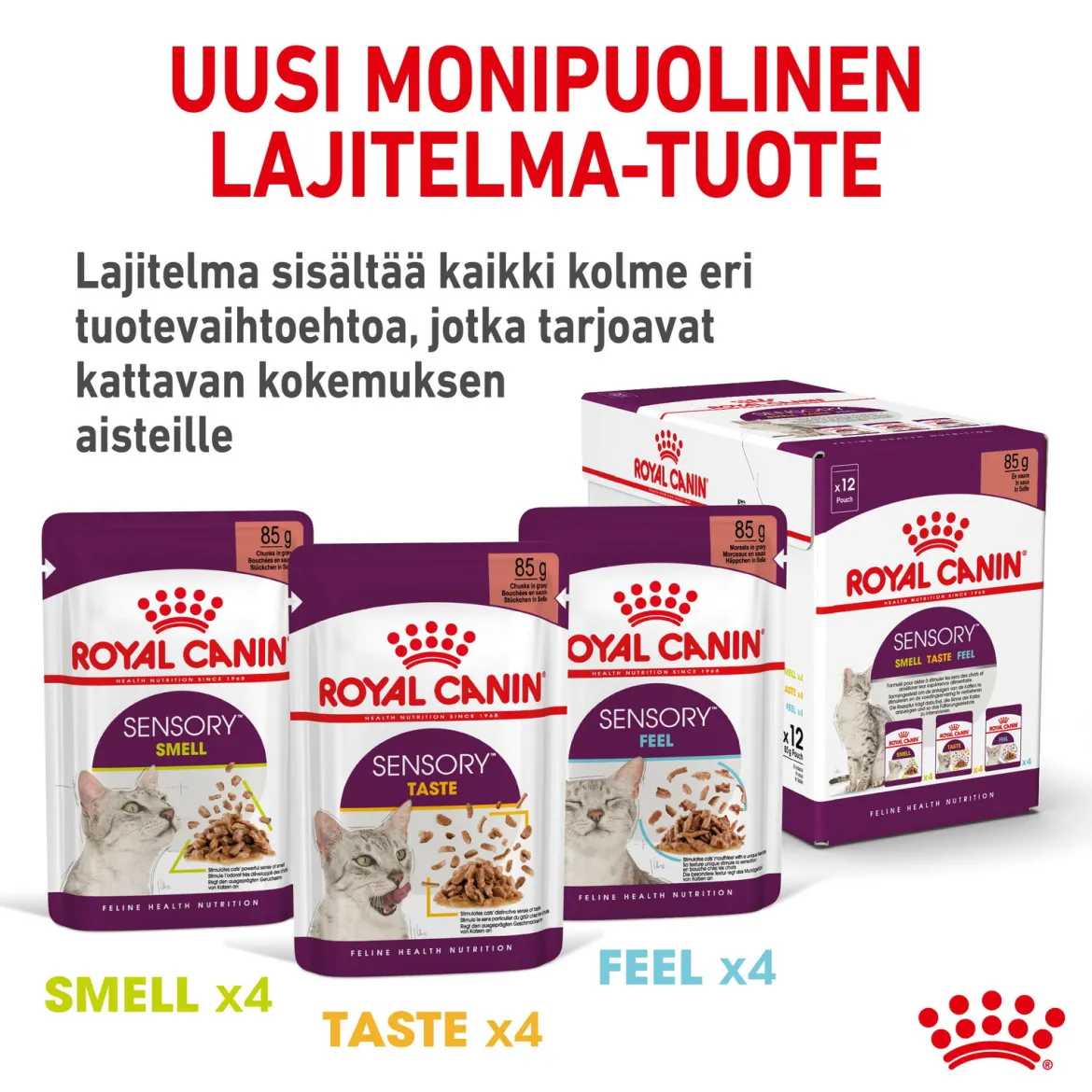 Royal Canin Sensory Smell Gravy 85g, 48-pack