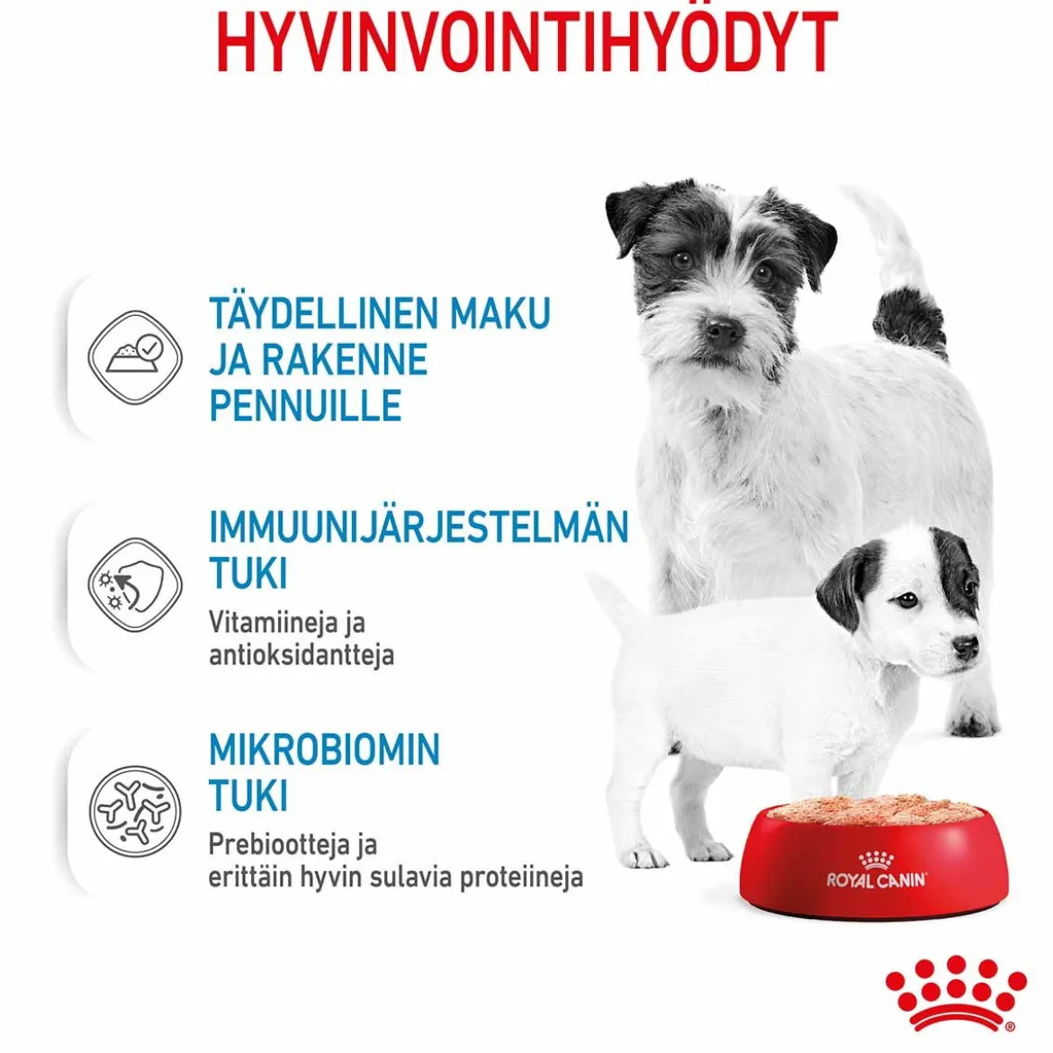 Royal Canin Starter Mother & Babydog