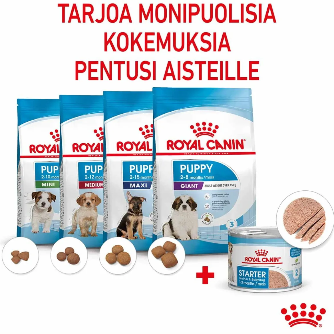 Royal Canin Starter Mother & Babydog