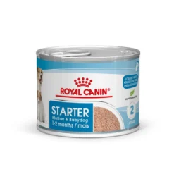 Royal Canin Starter Mother & Babydog