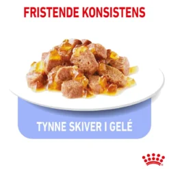 Royal Canin Ultra Light Gravy 85g, 48-pack