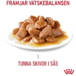 Royal Canin Urinary Care Gravy 85g, 48-pack