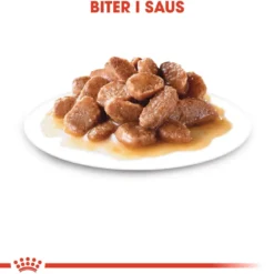 Royal Canin Urinary Care Gravy 85g, 48-pack