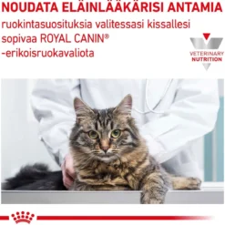 Royal Canin Veterinary Diets Cat Gastrointestinal Hairball