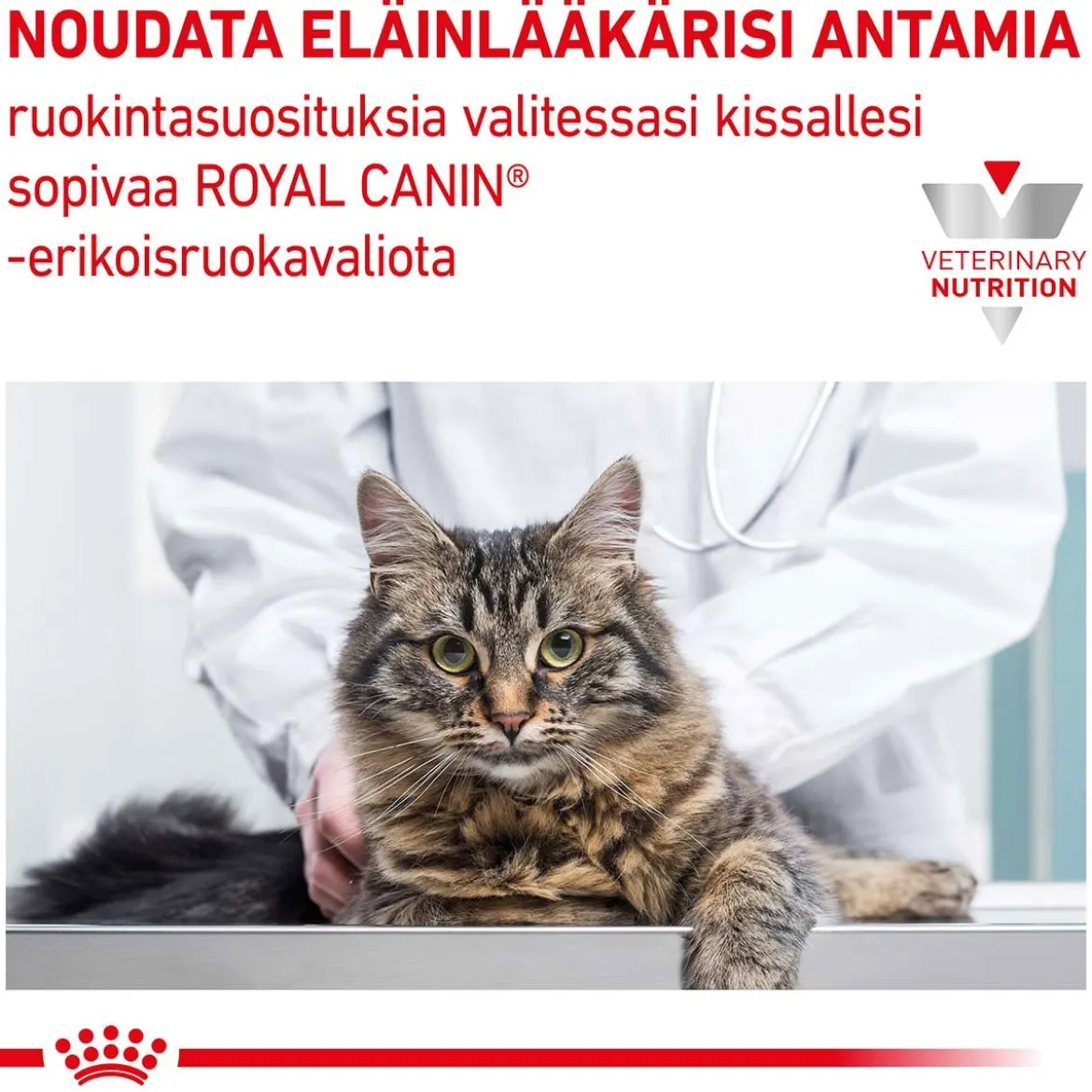 Royal Canin Veterinary Diets Cat Gastrointestinal Hairball