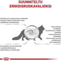 Royal Canin Veterinary Diets Cat Gastrointestinal Hairball