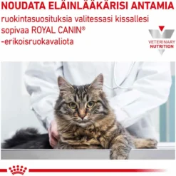 Royal Canin Veterinary Diets Cat Gastrointestinal Kitten