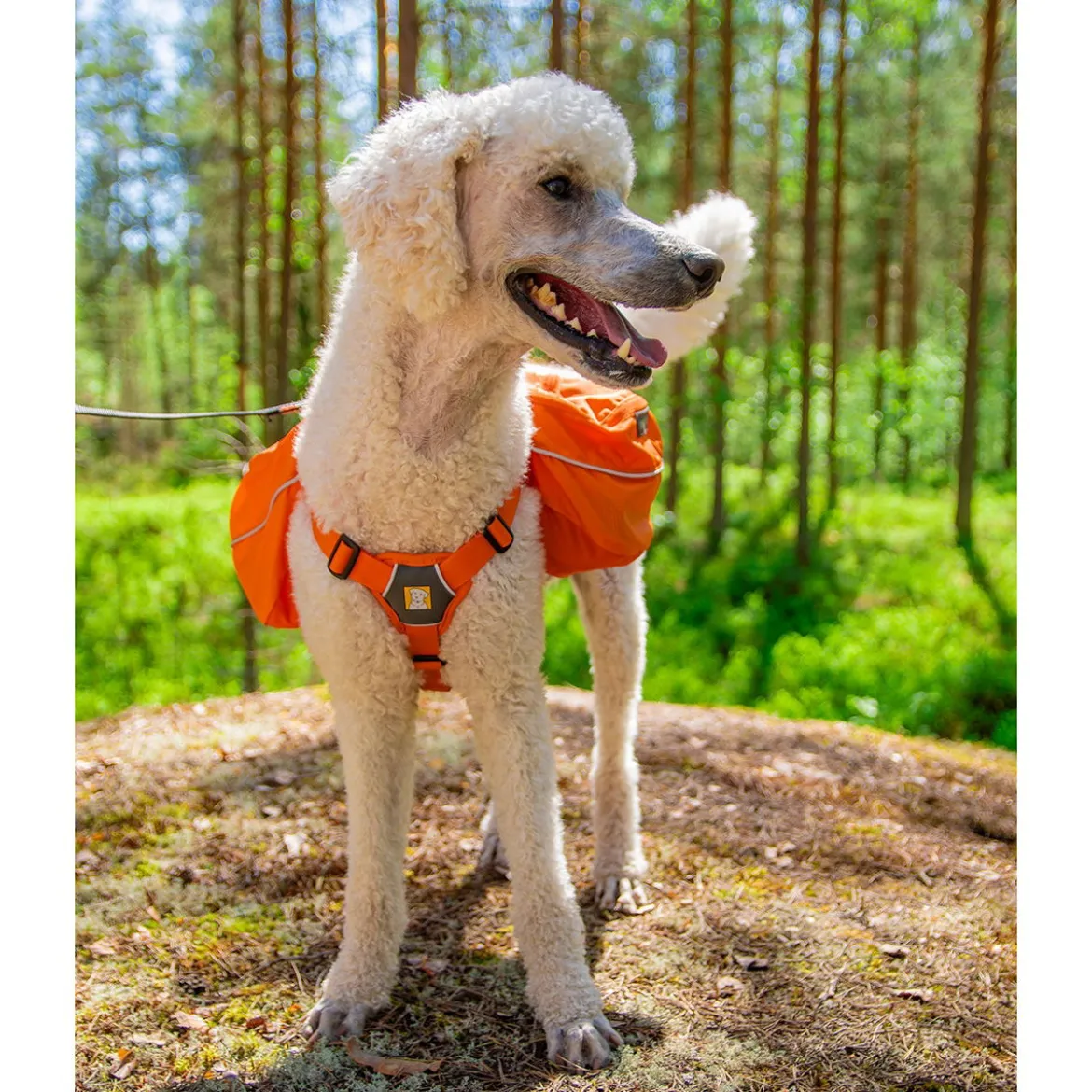 Ruffwear Approach Pack reppu koiralle, oranssi