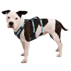 Ruffwear Flagline valjaat, harmaa