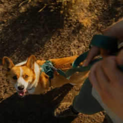 Ruffwear Front Range Flex hihna
