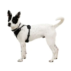 Ruffwear Front Range Flex valjas, Basalt Gray