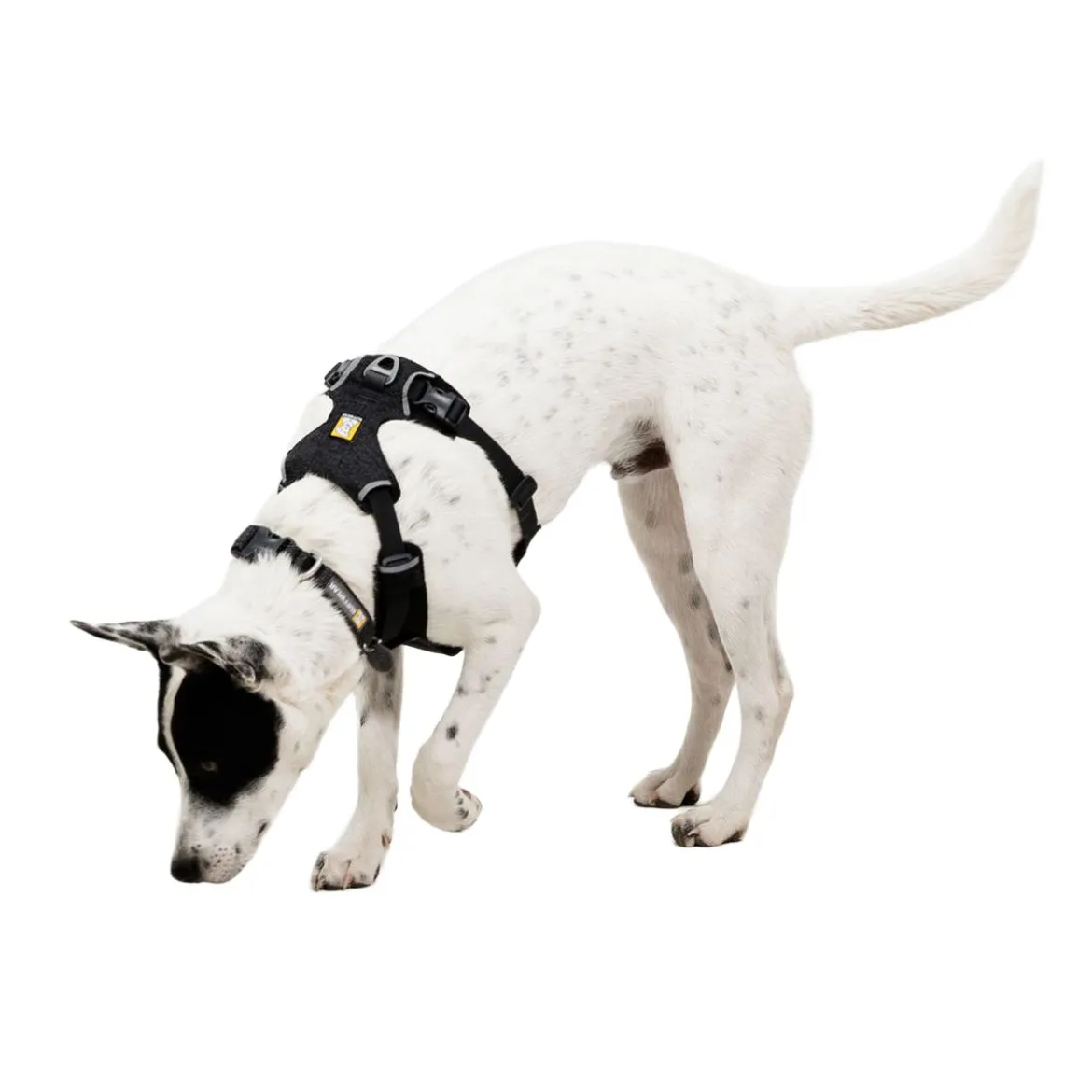 Ruffwear Front Range Flex valjas, Basalt Gray