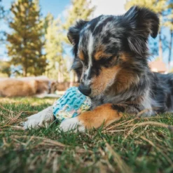 Ruffwear Morel™