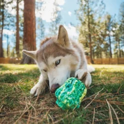 Ruffwear Morel™