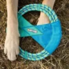 Ruffwear Pacific Ring koiranlelu, turkoosi