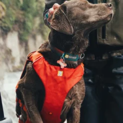Ruffwear Pelastusliivi Confluence, Tangelo Orange