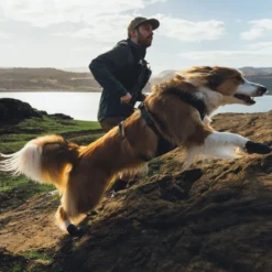 Ruffwear Ridgeline -koiran kengät