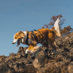 Ruffwear Ridgeline -koiran kengät
