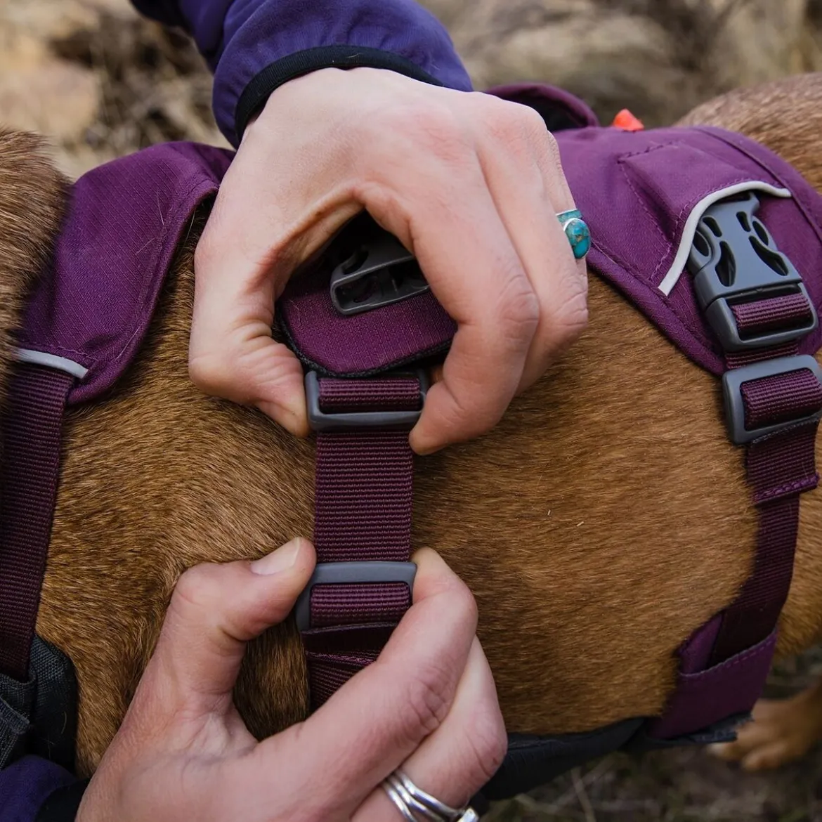 Ruffwear Web Master monitoimivaljaat, violetti