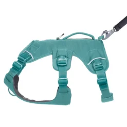 Ruffwear Web Master, valjas River Rock Green