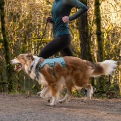 Ruffwear Web Master, valjas River Rock Green