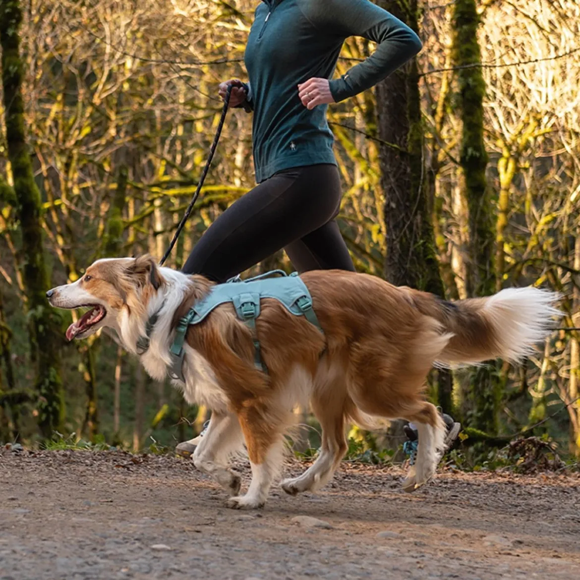 Ruffwear Web Master, valjas River Rock Green