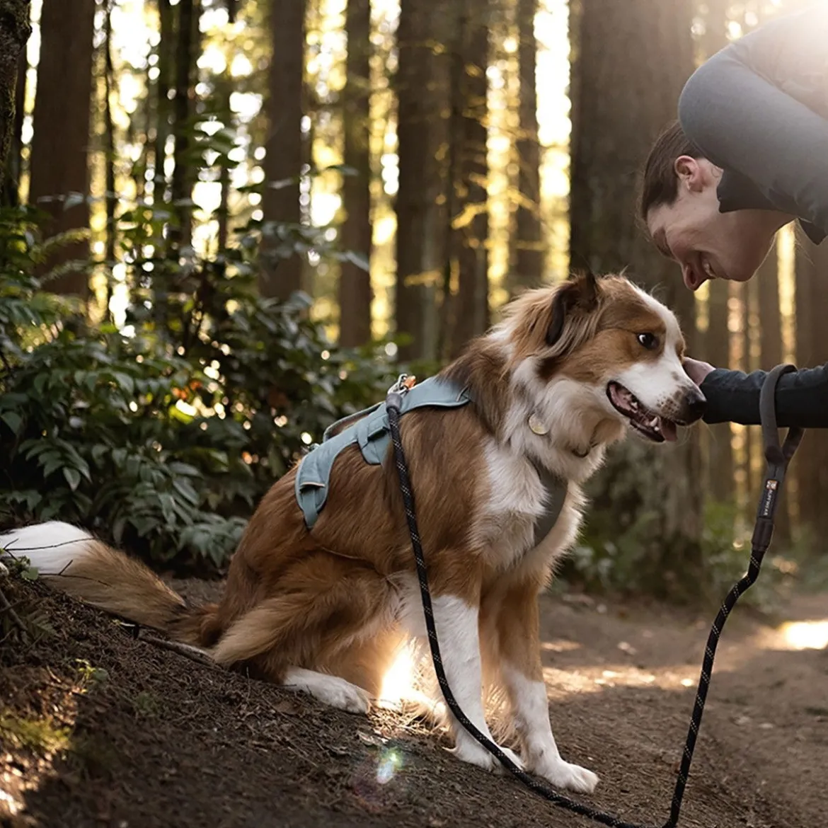Ruffwear Web Master, valjas River Rock Green