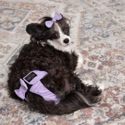 RuttuNuttu juoksupöksyt, Diva lila