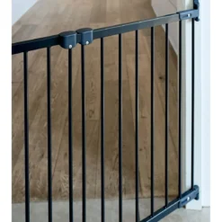 Säädettävä koiraportti DogSpace Molly 67-105 cm