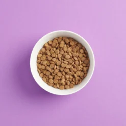 SMAAK steriloidun kissan ruoka