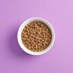 SMAAK steriloidun kissan ruoka