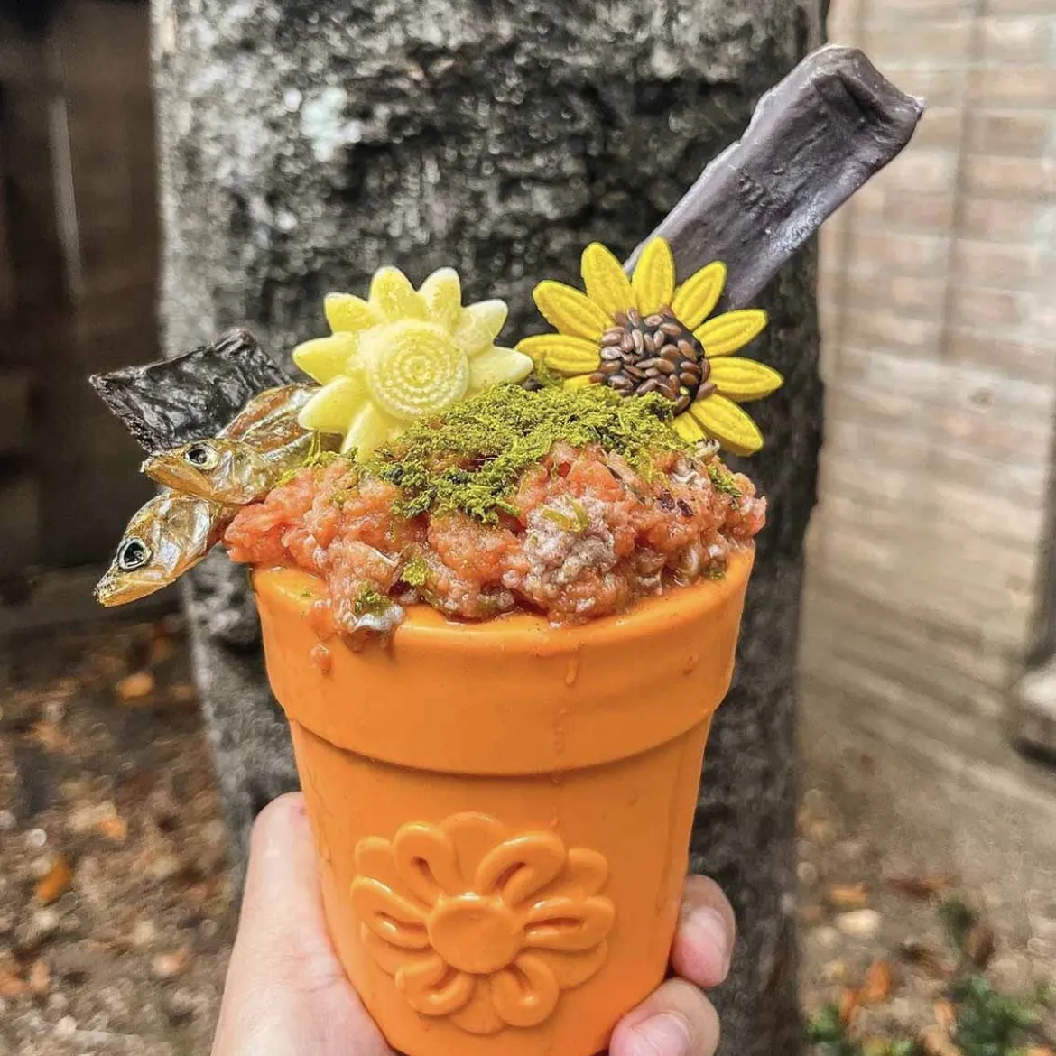 SodaPup Flower Pot
