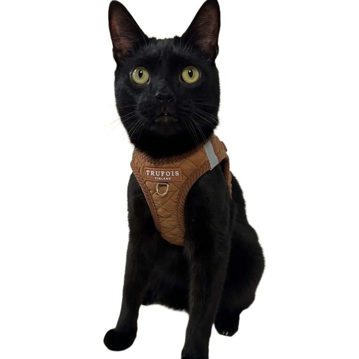 Step-In-valjaat Trufois, Macchiato Brown