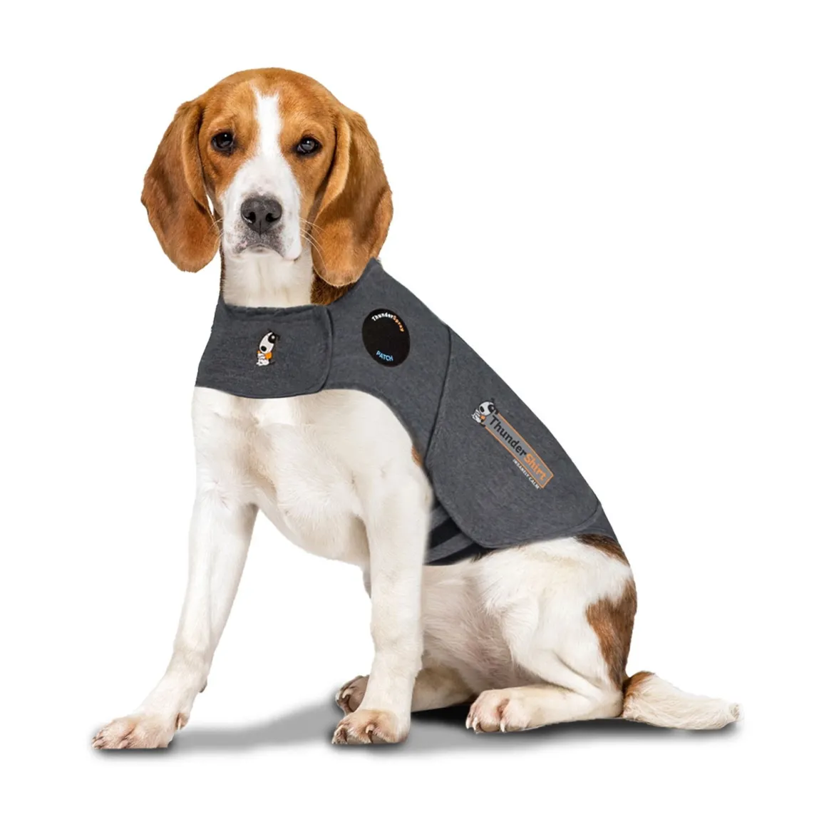 Thundershirt rauhoittava mantteli koiralle