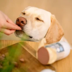 Trick&Treat Paté Treenimakkara Kalkkuna
