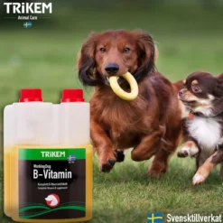 Trikem WorkingDog B-vitamiini koiralle