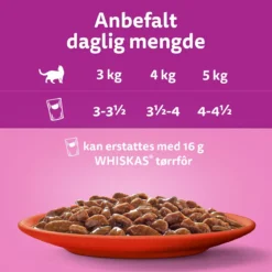 Whiskas Classic meals in jelly 60x85g