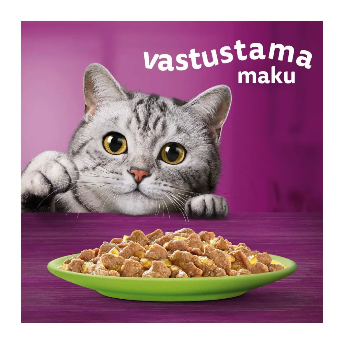 Whiskas 1+ jelly 40x85 g