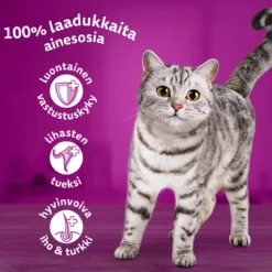 Whiskas 1+ jelly 40x85 g